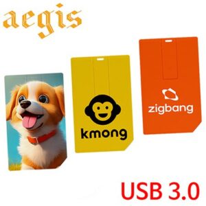 USB 기념품제작 이지스 카드형USB 3.0 메모리 128GB USB 기념품제작 이지스 카드형USB 3.0 메모리 128GB